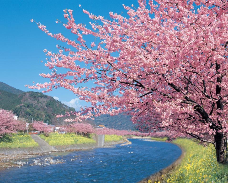 Imaiso Kawazu Ngoại thất bức ảnh